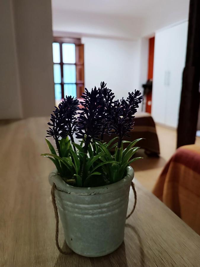 Corrala De San Anton. Sencillo Apartamento En Pleno Centro Granada Kültér fotó